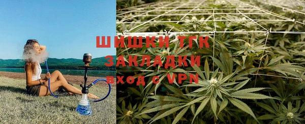 дмт Богородицк