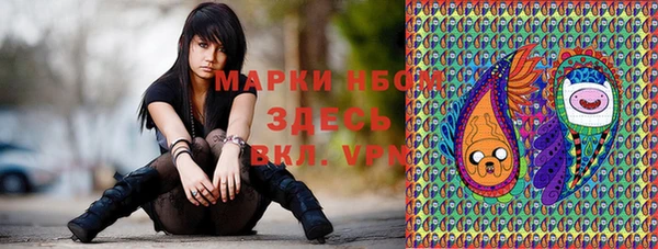 дживик Богородск