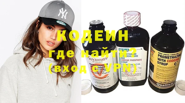 дживик Богородск